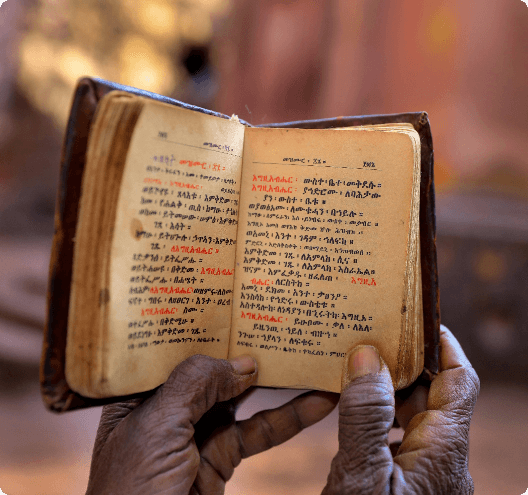 Bible translation