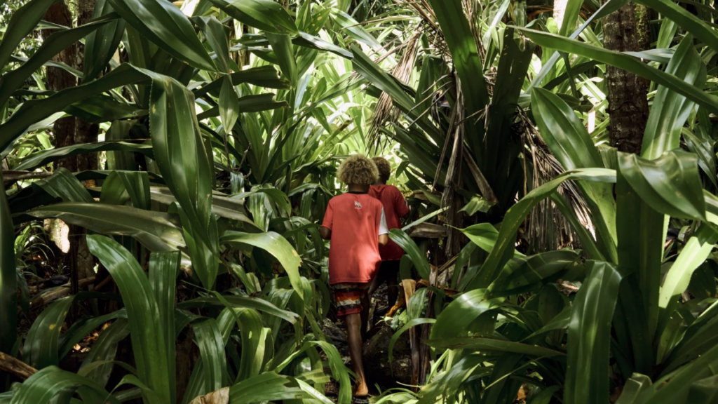 Person walking in the rainforest