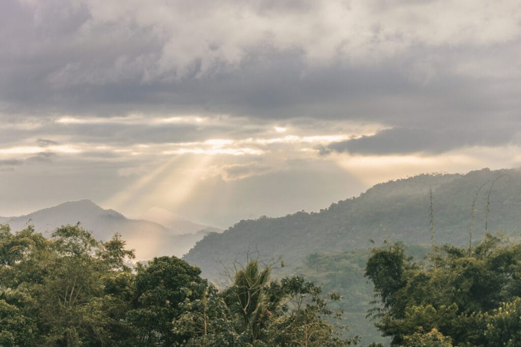 How to Pray for Bible Translation