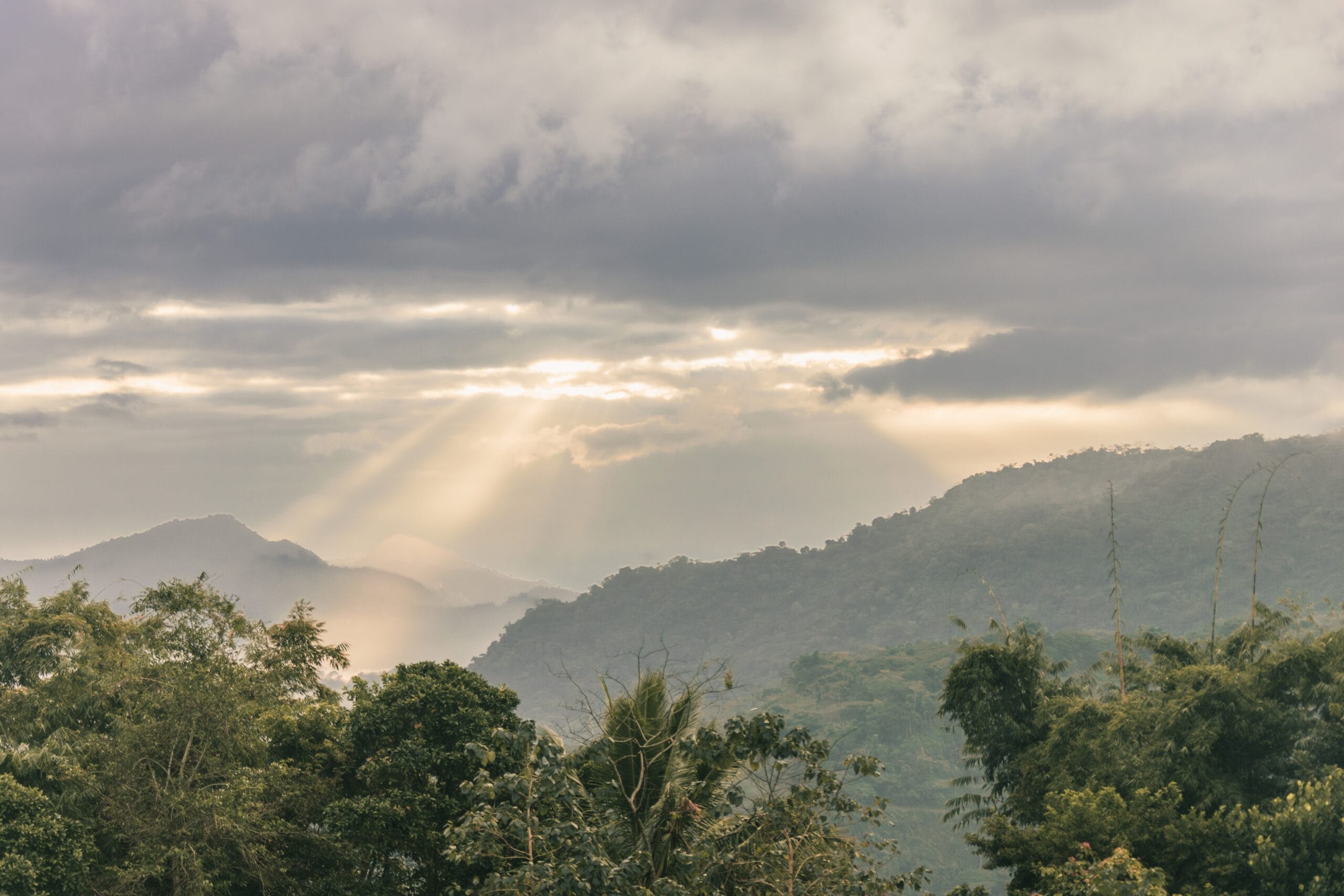 How to Pray for Bible Translation