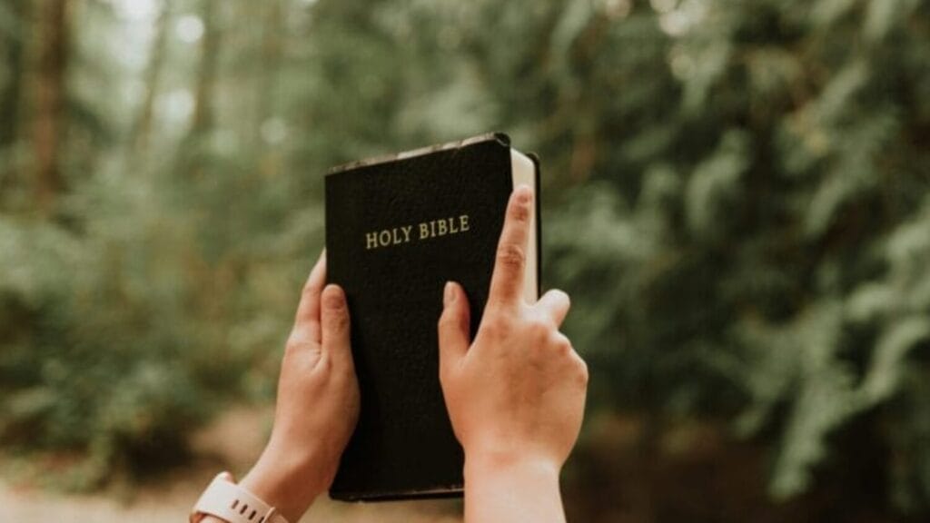 Hands holding up the Bible